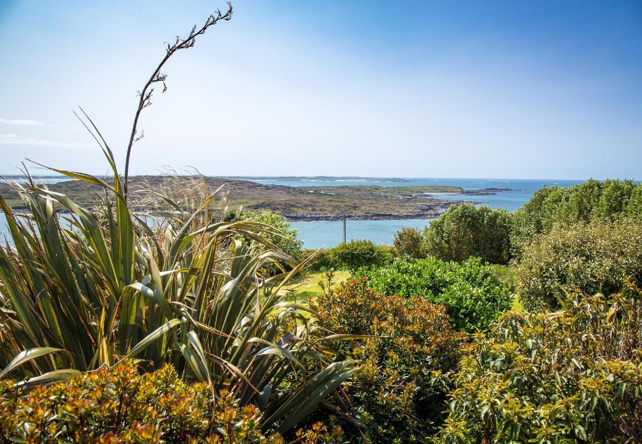 House in Clifden - Once Upon a Tide has magnificent sea views