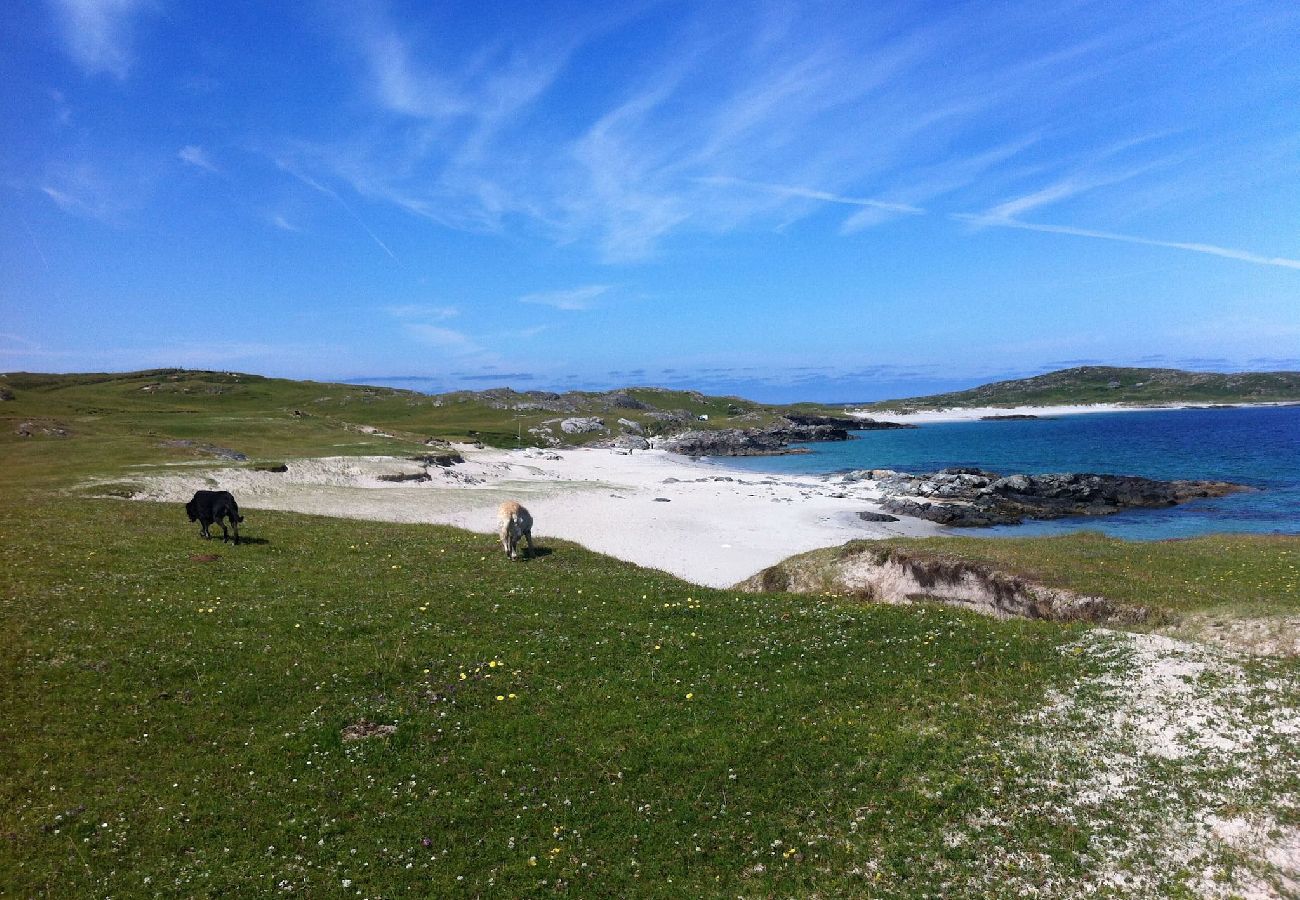 House in Ballyconneely - Lake House Mannin, holiday maker’s paradise