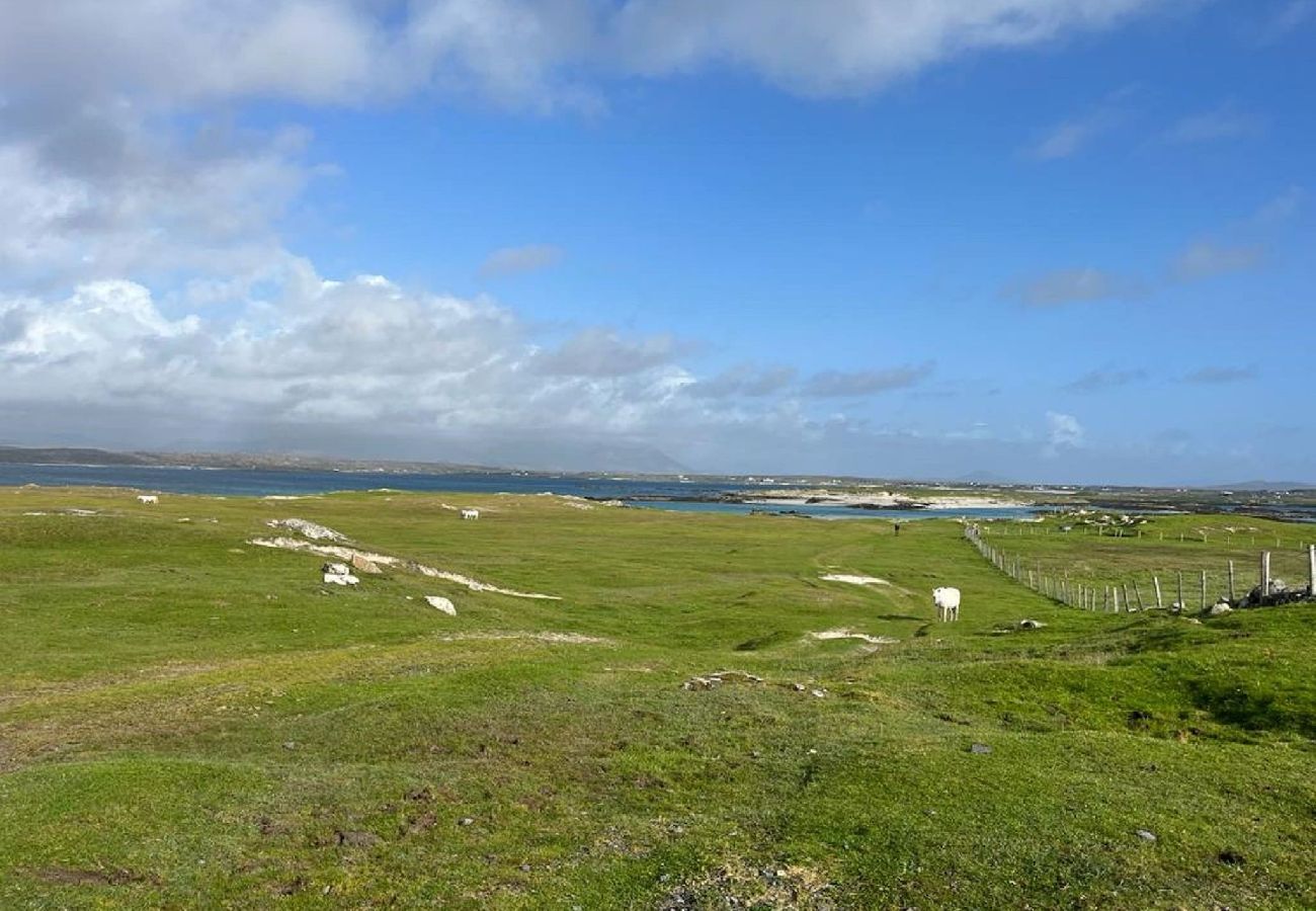 House in Ballyconneely - Lake House Mannin, holiday maker’s paradise