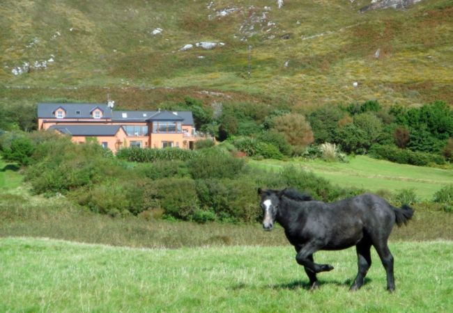 House in Clifden - Dolphin Beach House - Close to the sea & town