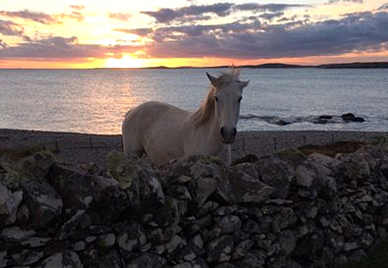 House in Clifden - Clochan